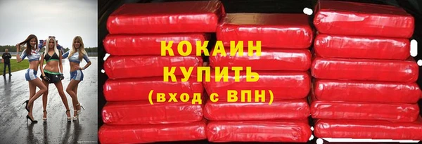 дмт Богданович