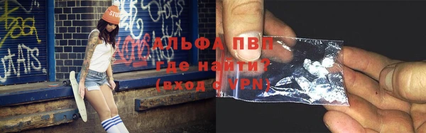дмт Богданович