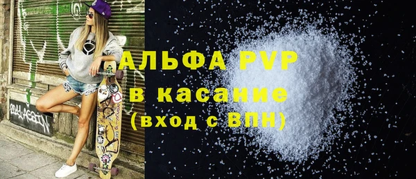 дмт Богданович
