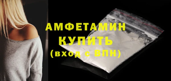 дмт Богданович