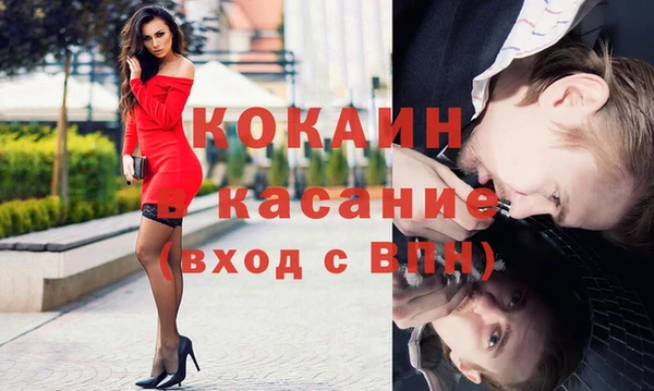 дмт Богданович