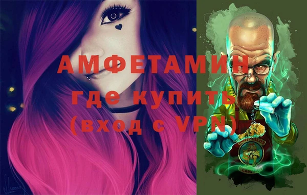 дмт Богданович