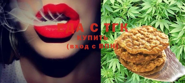 дмт Богданович