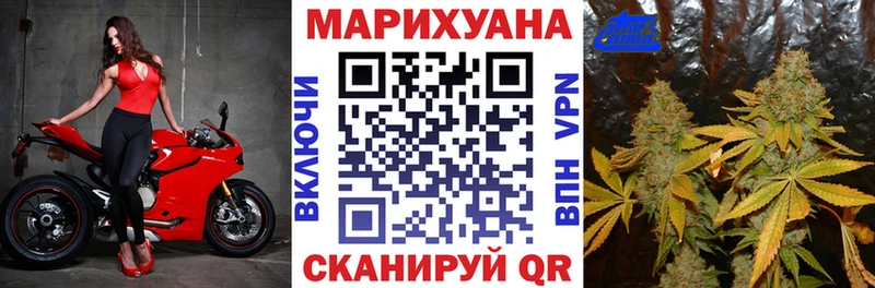 МАРИХУАНА конопля Далматово